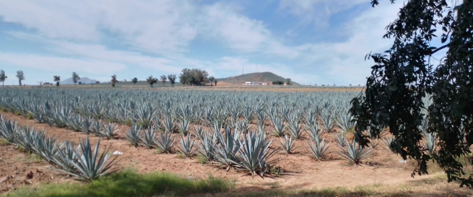 Casa de campo en venta en El Zamorano, Jalisco