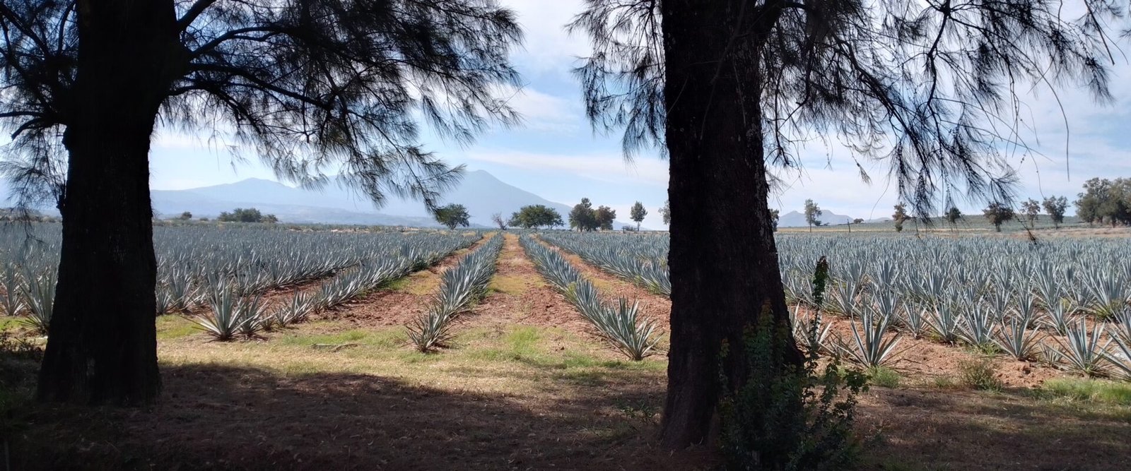 Casa de campo en venta en El Zamorano, Jalisco