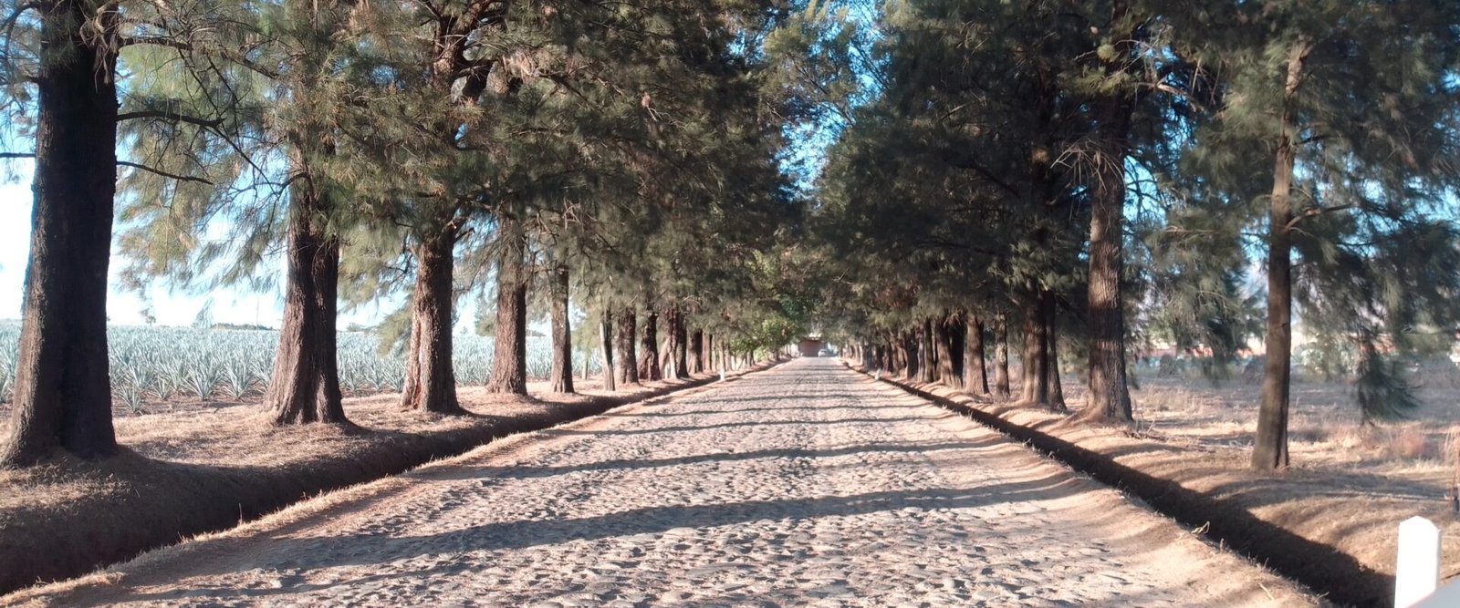 Casa de campo en venta en El Zamorano, Jalisco