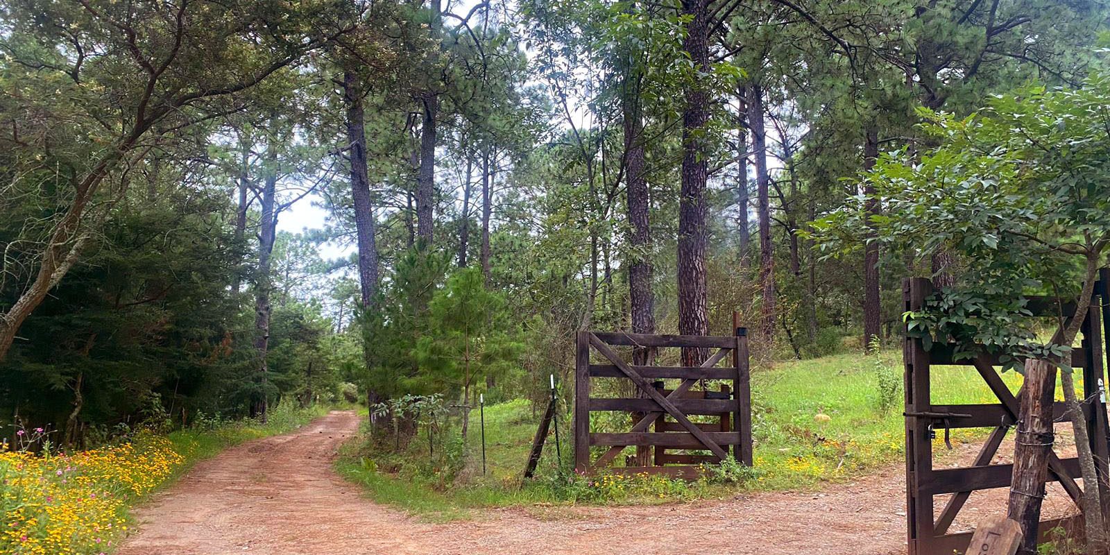 Terreno en Venta, Tapalpa, Jalisco