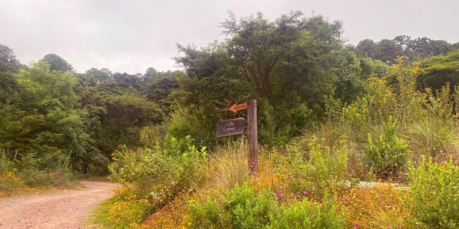 Terreno en Venta, Tapalpa, Jalisco