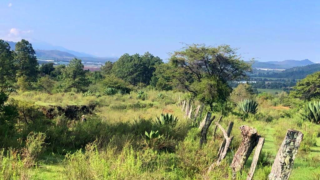 Terreno en Venta, Tapalpa, Jalisco