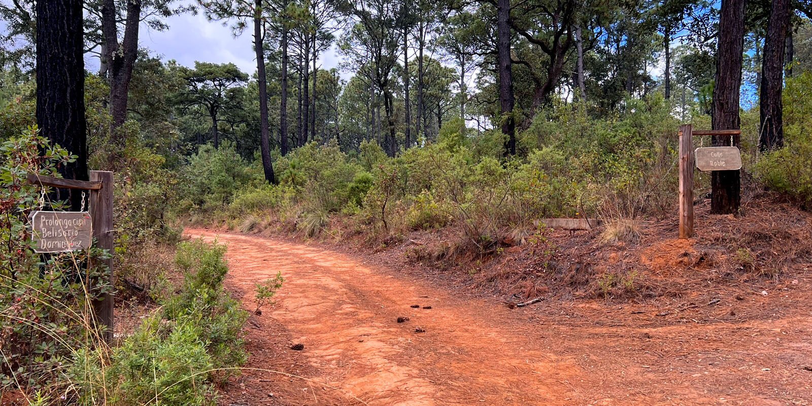 Terreno en Venta, Tapalpa, Jalisco