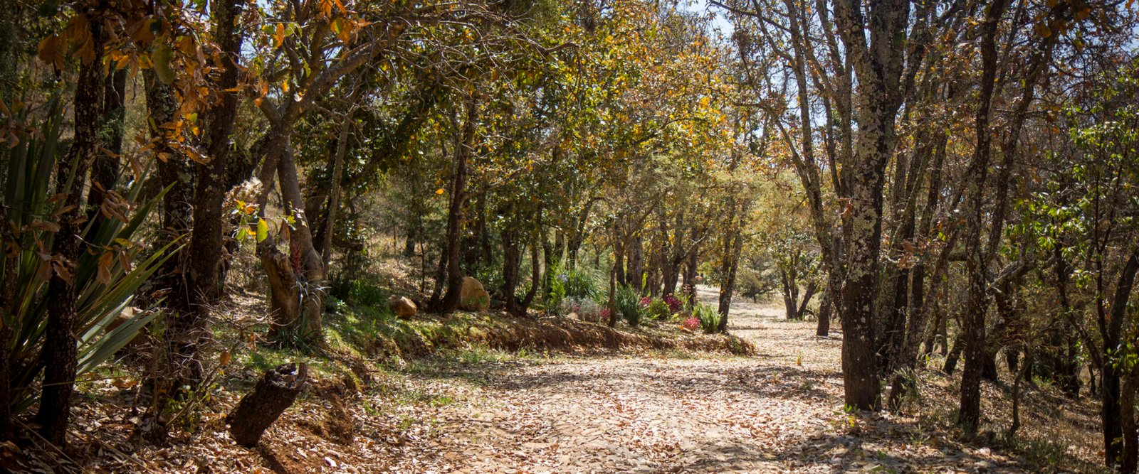 Terreno en venta en Atemajac de Brizuela