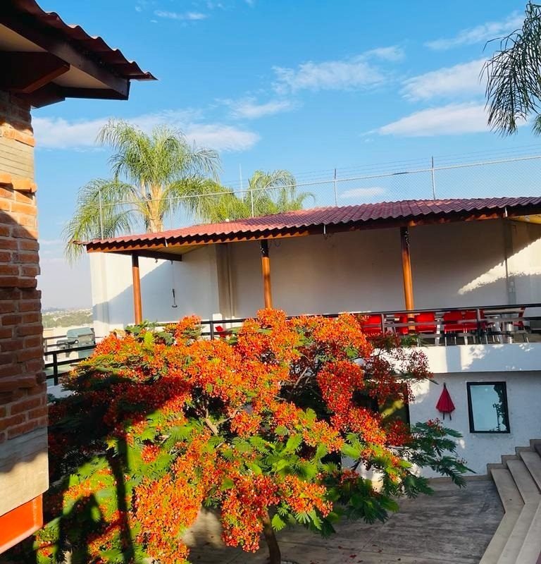 Oficinas en renta disponibles en Guadalajara sur dentro de periférico