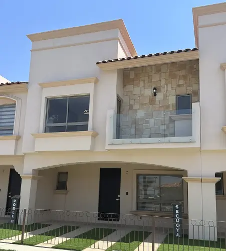 bosques-california-secuoya