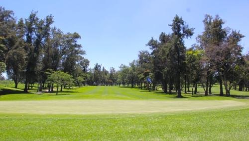 campo 01